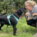 Tutora pede para veterinário matar cachorro por ele latir de mais