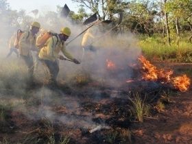 Governo intensifica ações para combate as queimadas no Piauí