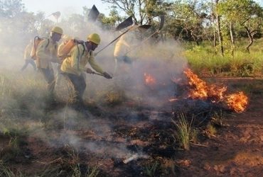 Governo intensifica ações para combate as queimadas no Piauí
