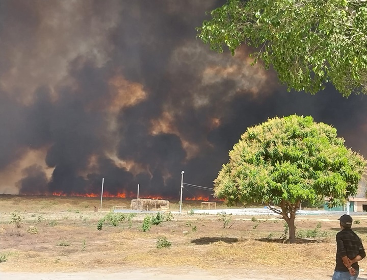 Incêndio de grandes proporções atinge a região sul do Piauí 