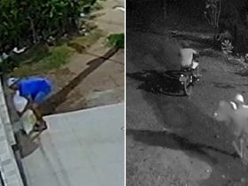 Vídeo: Dupla é flagrada furtando saco de estrume no interior do Piauí