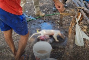40 trabalhadores em situação de escravidão são resgatados no Piauí