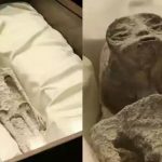 Fotos viralizam após exibição de corpos de supostos aliens no México