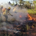 Governo do estado intensifica fiscalização para evitar queimadas no Piauí