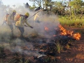 Governo do estado intensifica fiscalização para evitar queimadas no Piauí