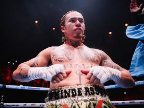 Whindersson Nunes anuncia nova luta de boxe; confira os detalhes