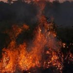 Amazônia teve 7 mil focos de queimadas durante setembro, revela Inpe