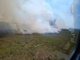 Incêndio na Serra das Confusões já dura 7 dias e alcança entre 8 à 10 km de extensão