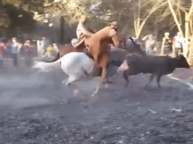 Jovem cai do cavalo durante pega de boi e está em estado grave em Sigefredo Pacheco-min