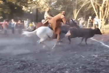 Jovem cai do cavalo durante pega de boi e está em estado grave em Sigefredo Pacheco-min