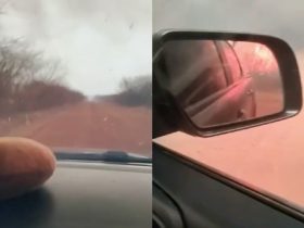 Vídeo: Mulheres se desesperam após entrarem em fumaça densa na estrada durante incêndio no interior do Piauí