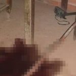 Homem morre com disparo de armadilha criada por ele mesmo contra roubos no Piauí