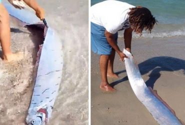"Peixe do fim do mundo" é encontrado em praia e moradores temem tragédias