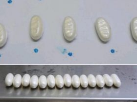 Piauiense é presa após ser pega tentando transportar cocaína nas partes íntimas para Europa