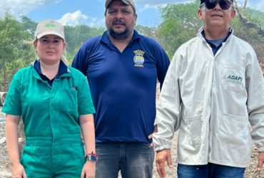 Piauí registra foco de peste suína no interior do estado