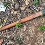 Durante surto psicótico, mãe mata bebe com golpes de machado no Maranhão