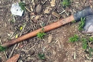 Durante surto psicótico, mãe mata bebe com golpes de machado no Maranhão