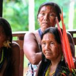 Governo Lula volta a ser criticado após não conseguir diminuir óbitos de Yanomami