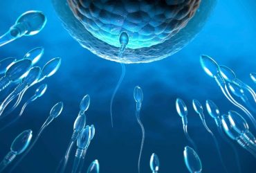Primeiro gel anticoncepcional para homens tem 99% de eficácia em testes