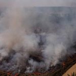 Amazônia bate recorde nos focos de queimadas em fevereiro