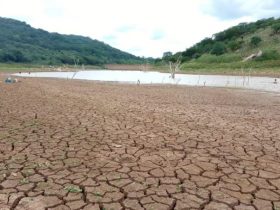 Devido à falta de chuvas, lavradores temem seca inédita no norte do Piauí