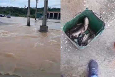 Vídeo: Homem pesca peixes em avenida alagada após intensa chuva no Piauí