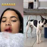 Jovem pega pontos nos lábios após tentar beijar cachorro de estimação no Piauí