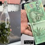 Operação policial apreende cachaça de maconha e cédula falsa de R$ 420 em Parnaíba