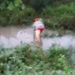 Vídeo: Chuvas formam "lagoa" e piauienses pegam peixes com a mão