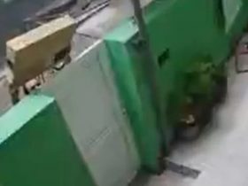 Vídeo: Entregador arremessa TV por cima do portão e objeto quebra