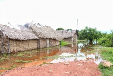 Rio ultrapassa cota de inundação e deixa famílias desabrigadas no Piauí