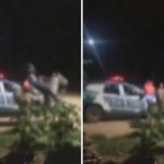 Vídeo: Homem montado em cavalo tenta laçar policial militar