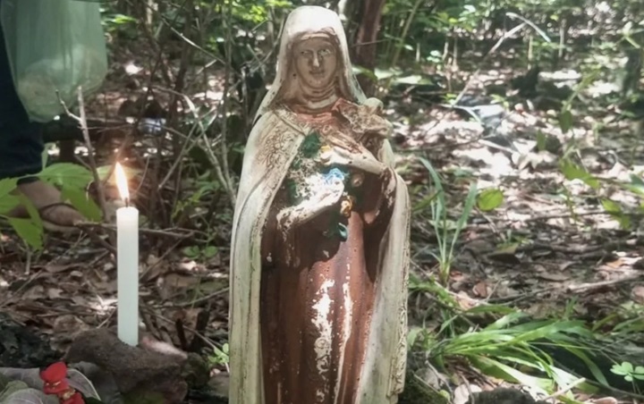 Aparição de imagem de Santa Teresinha em matagal atrai centenas de fiéis em José de Freitas 