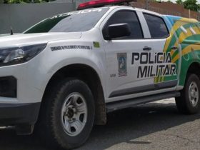 Homem é preso em flagrante após crime de zoofilia no Piauí