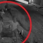 Vídeo: Quatro adolescentes são flagrados roubando galinha no Piauí