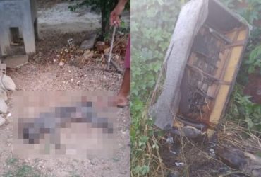 Cachorro morre e duas pessoas são hospitalizadas após ataque de enxame de abelhas em Campo Maior