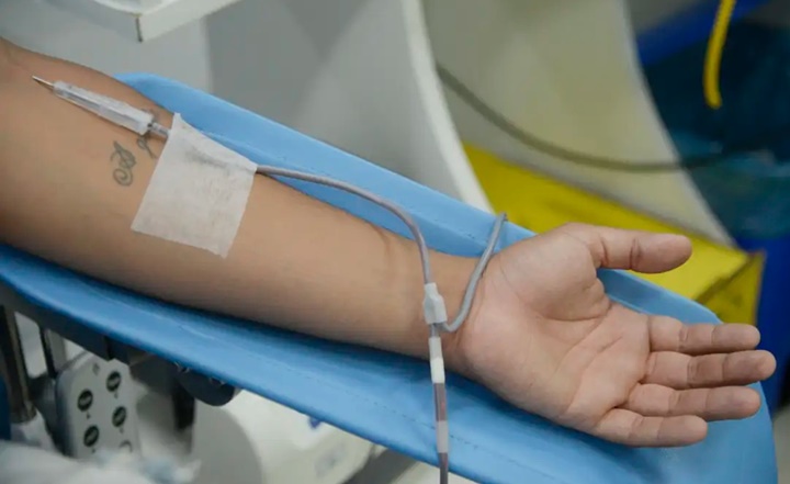 Dia Mundial do Doador de Sangue; Confira detalhes sobre a doação regular