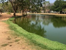 Parques de Teresina vão cobrar R$ 19 para realizar fotos e eventos; Confira quais