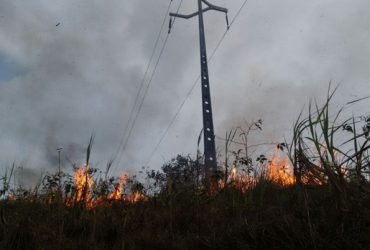 Equatorial registra falta de energia devido queimadas a cada dois dias no Piauí