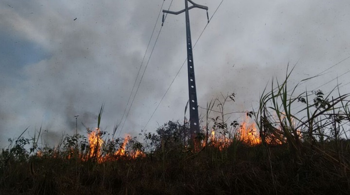 Equatorial registra falta de energia devido queimadas a cada dois dias no Piauí