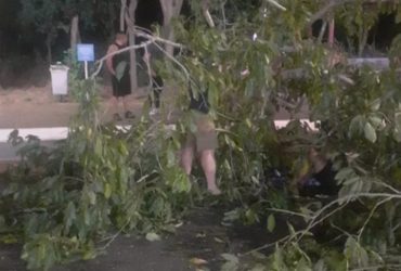 Mulher fica ferida após ser atingida por árvore enquanto caminhava no Piauí