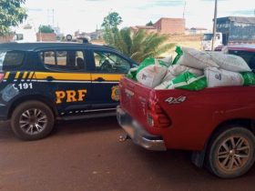 PRF prende jovem após saquear meia tonelada de ração de caminhão tombado no Maranhão