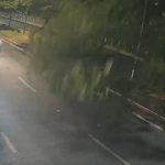 Vídeo: Galho de cajueiro desaba na pista e deixa motociclista ferido no Maranhão