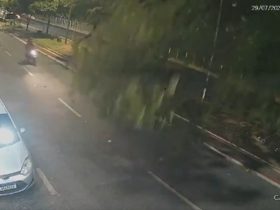 Vídeo: Galho de cajueiro desaba na pista e deixa motociclista ferido no Maranhão