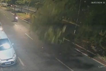 Vídeo: Galho de cajueiro desaba na pista e deixa motociclista ferido no Maranhão