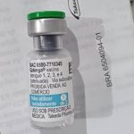 2ª dose da vacina contra a dengue chega no Piauí