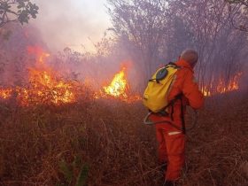 40 cidades piauienses são afetadas por focos de incêndio; Confira quais