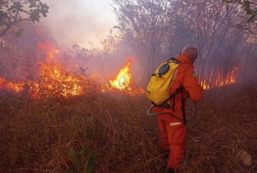 40 cidades piauienses são afetadas por focos de incêndio; Confira quais