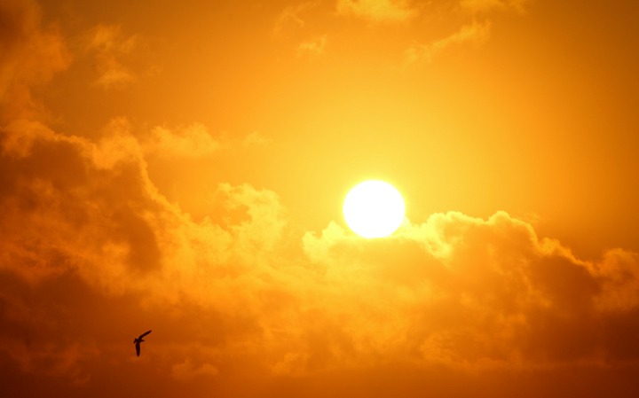 Brasil poderá ter agosto com temperaturas acima de 40°C