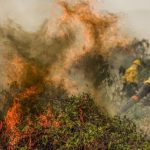 Brasil teve 1,9 mil focos de incêndio por dia em agosto